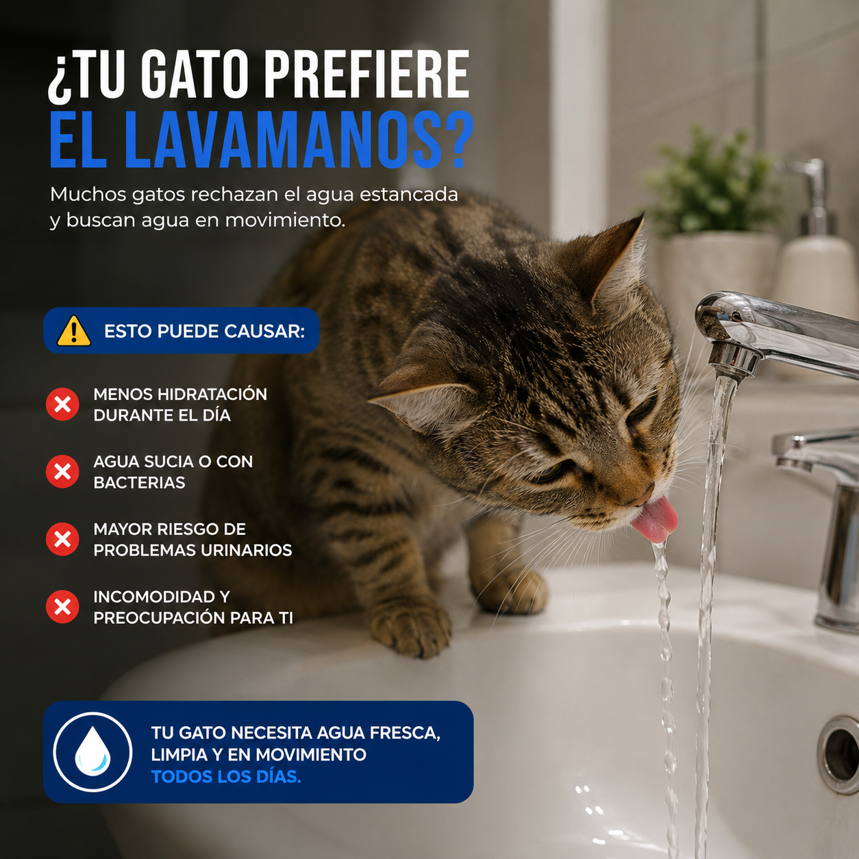 Fuente VitalPet™ | Hidratación Fresca y Constante para tu mascota todo el día.