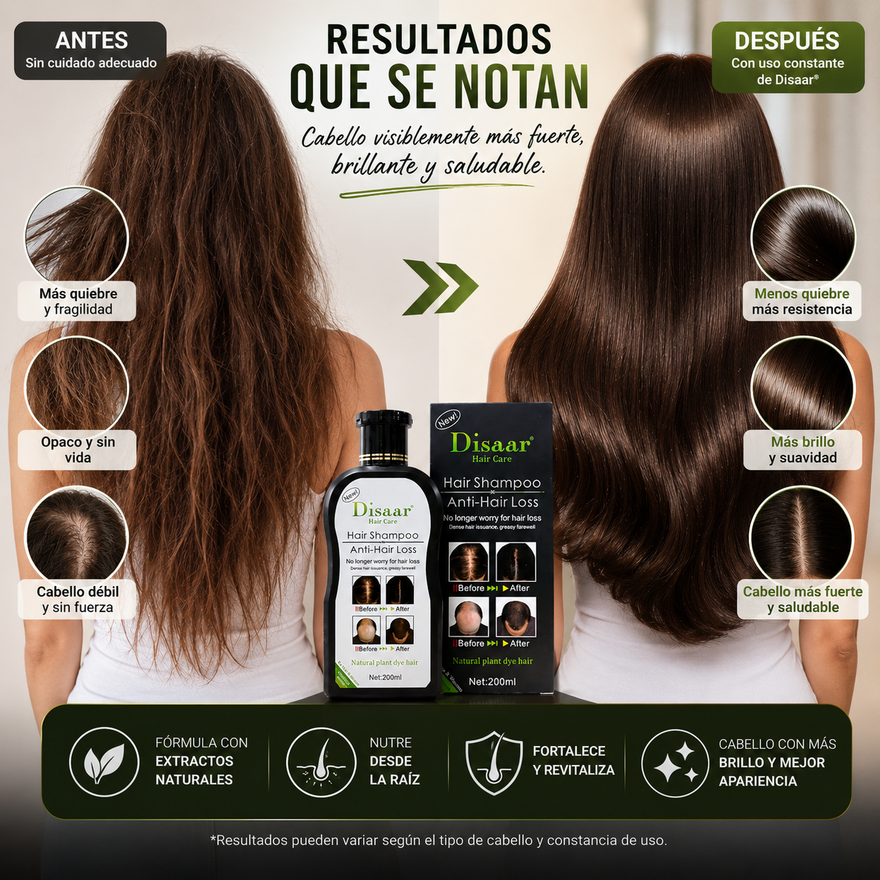 Encabezado