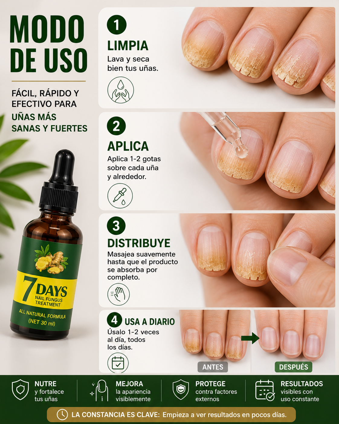 Encabezado