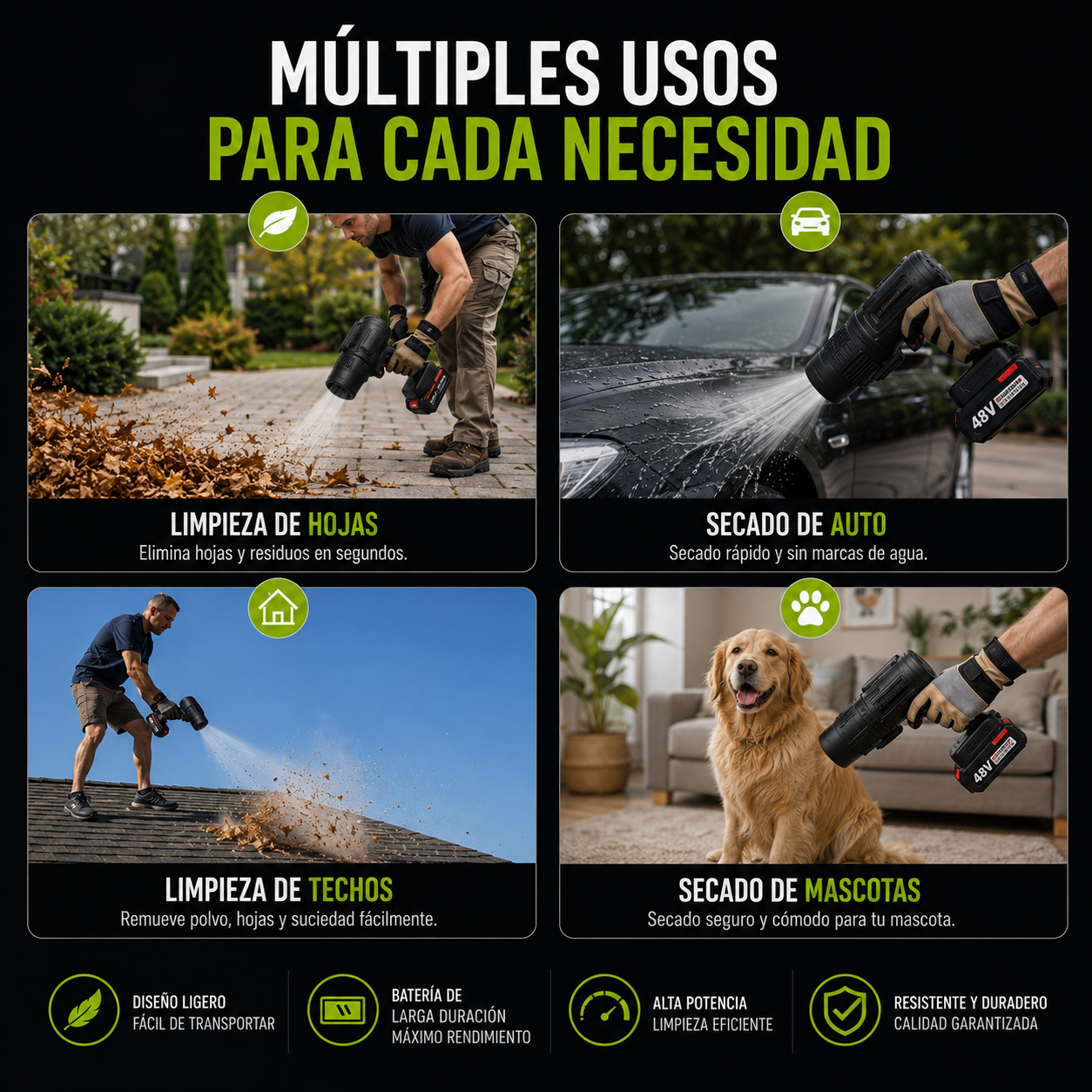 Encabezado